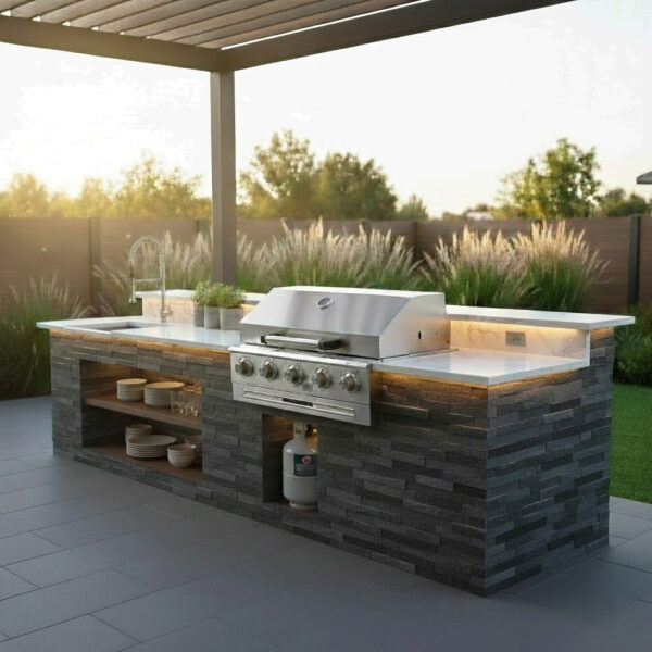 Barbecue au gaz a poser Inox 5 brûleurs couverture