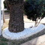 Bordure de jardin lisse en béton fibré reel