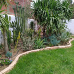 Bordure jardin en béton éclaté BJ003 reel