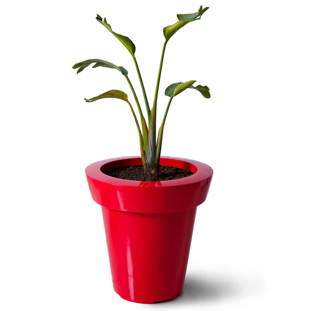 Pot conique en resine modele toscane couv