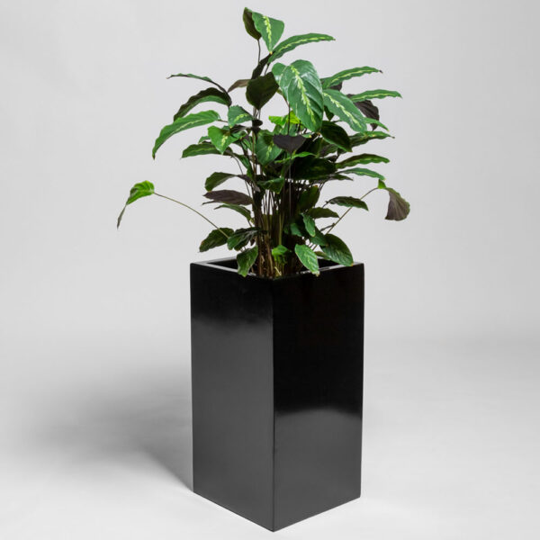 Pot cubique haut en resine CUBO 6030