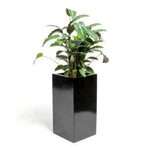 Pot cubique haut en resine modèle colonne 6030