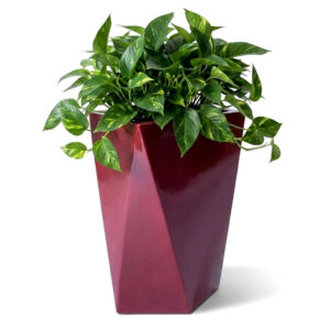 Pot colonne en resine modèle S H61cm