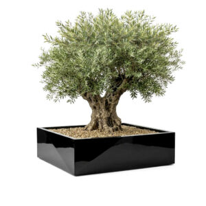 Pot géant cubique en résine pour olivier CB50120